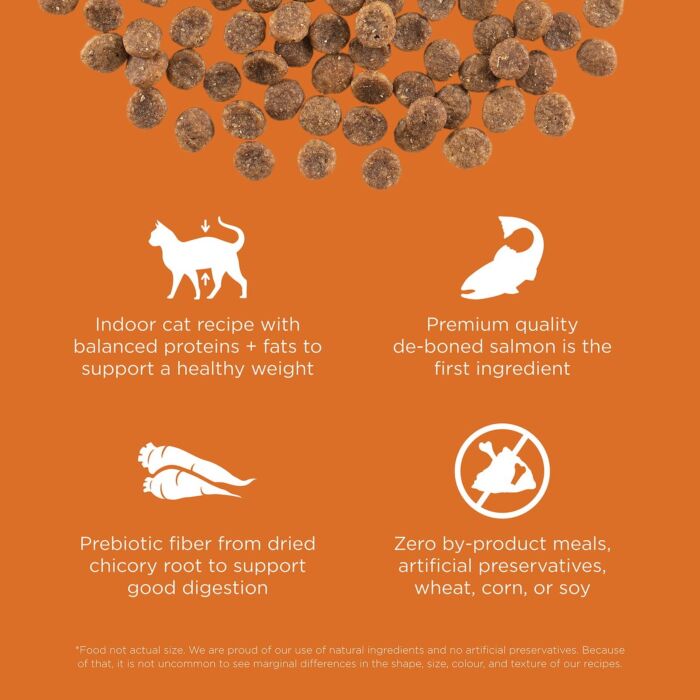 Trial Pack Go! SOLUTIONS Cat Food - Skin & Coat Care - Grain Free Salmon