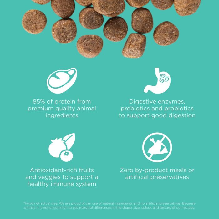 Trial Pack Go! SOLUTIONS Dog Food - Carnivore - Grain Free Chicken, Turkey & Duck