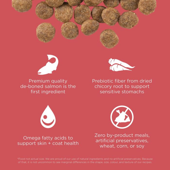 Trial Pack Go! SOLUTIONS Dog Food - Sensitivities - Limited Ingredient Grain Free Salmon
