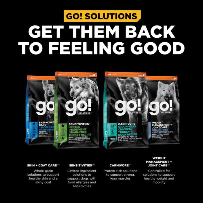 Trial Pack Go! SOLUTIONS Dog Food - Digestion & Gut - Salmon With Grains