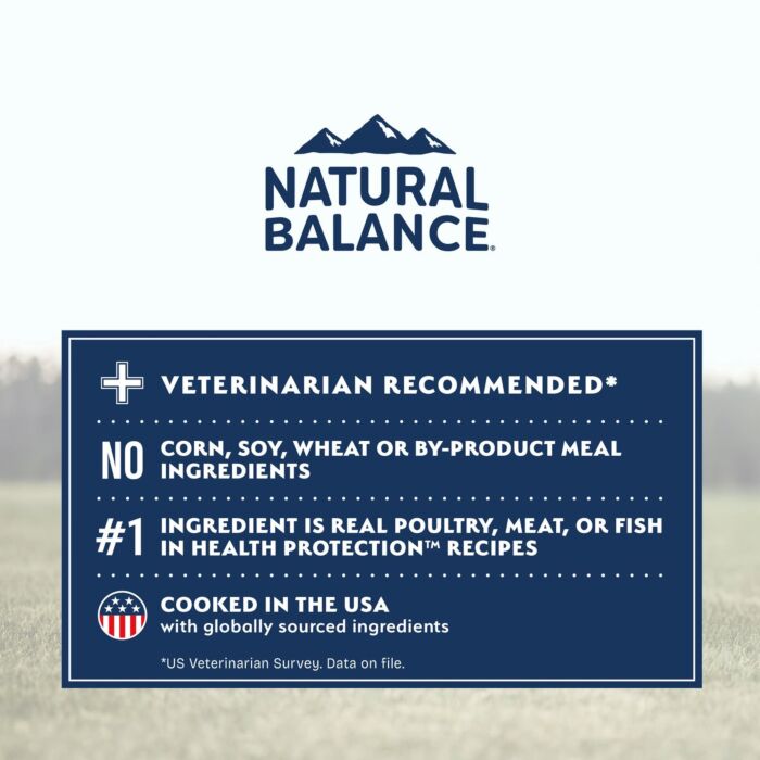 Trial Pack Natural Balance Dog Food - Health Protection - Salmon Brown Rice & Pumpkin