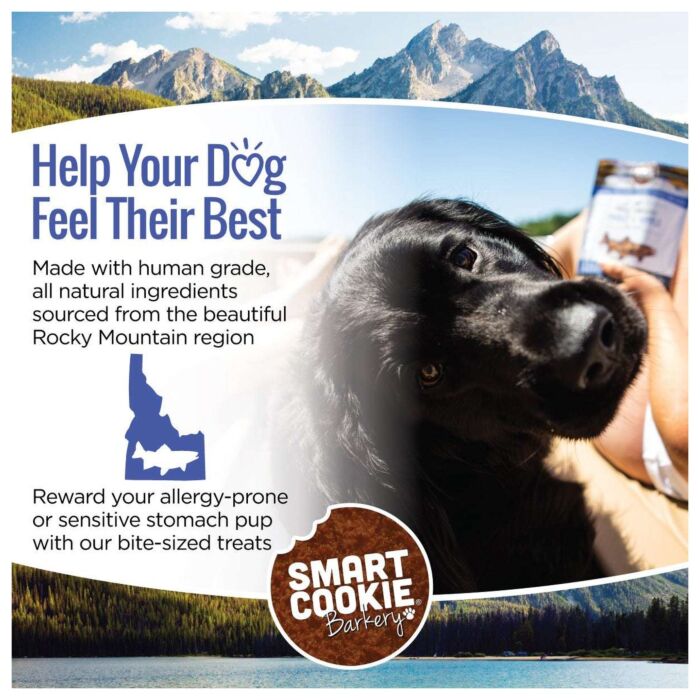 Smart Cookie Dog Soft Treat - Rocky Mountain - Trout + Apple 5oz