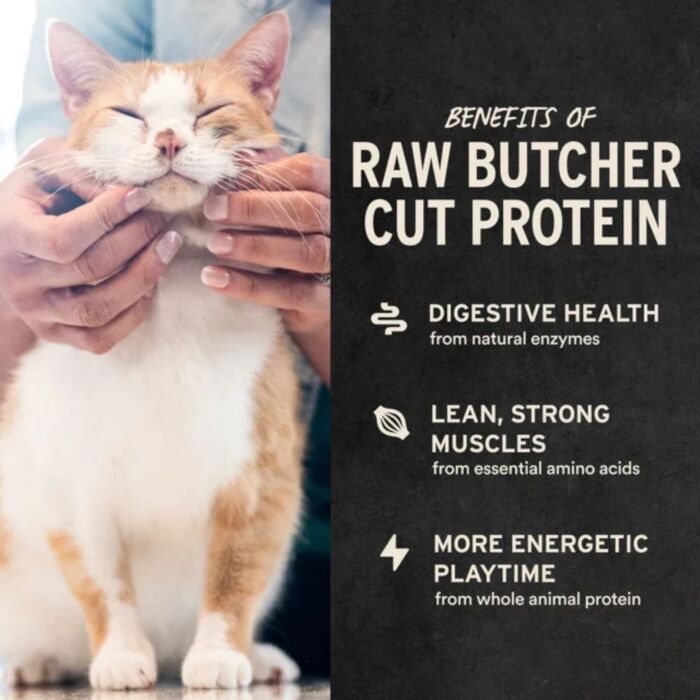 Vital Essentials Cat Treat - Freeze Dried Salmon Bites 1.1oz