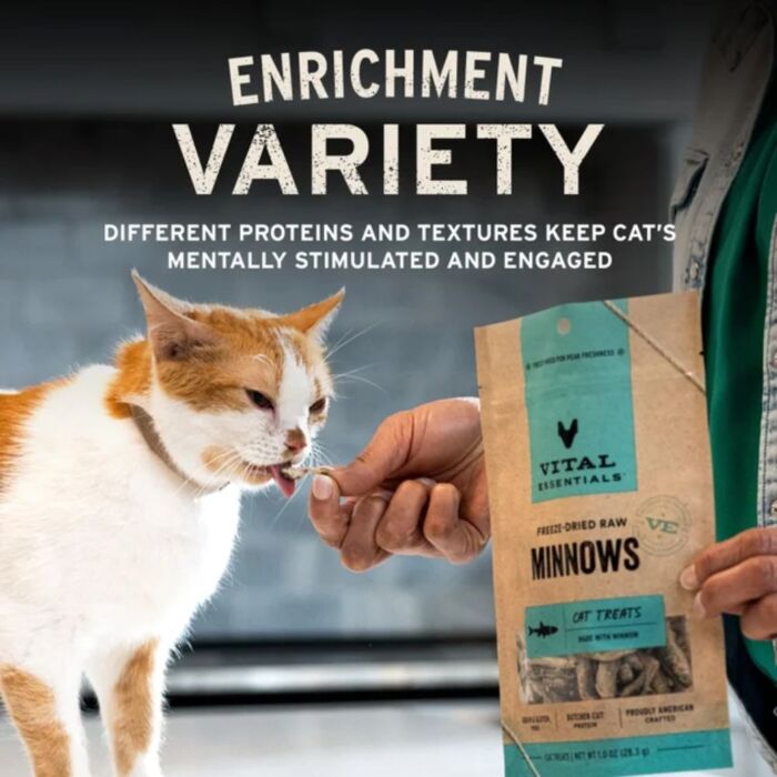 Vital Essentials Cat Treat - Freeze Dried Salmon Bites 1.1oz