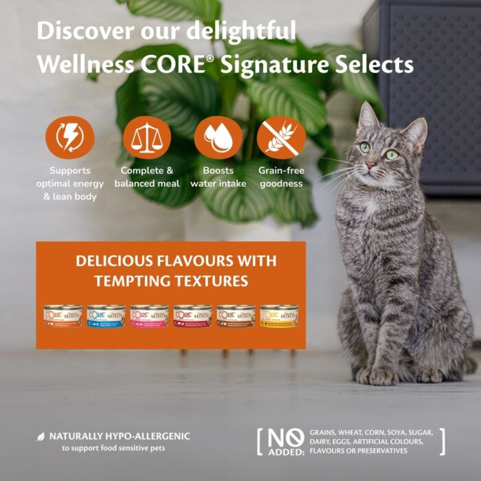 Wellness Signature Selects 無穀物貓濕糧 - 手撕去骨雞肉配香濃雞肝