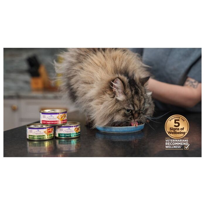 Wellness Cat Can - Signature Selects Grain Free - Chunky Boneless Chicken & Wild Salmon