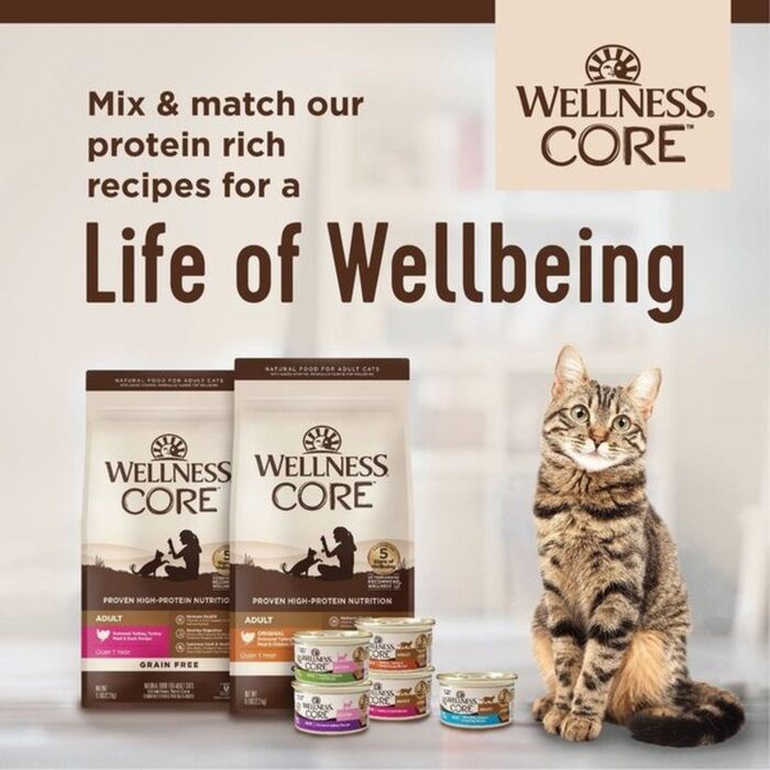 Wellness CORE 無穀物貓罐頭 - 火雞拼鴨肉配方 5.5oz