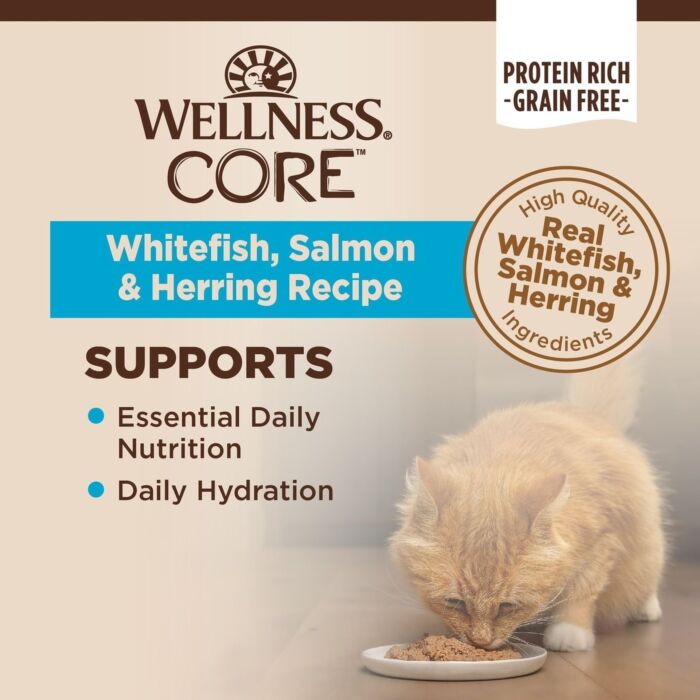 Wellness 美國貓濕糧 - CORE Hearty Cuts 無穀物 - 厚切白魚三文魚配方 5.5oz