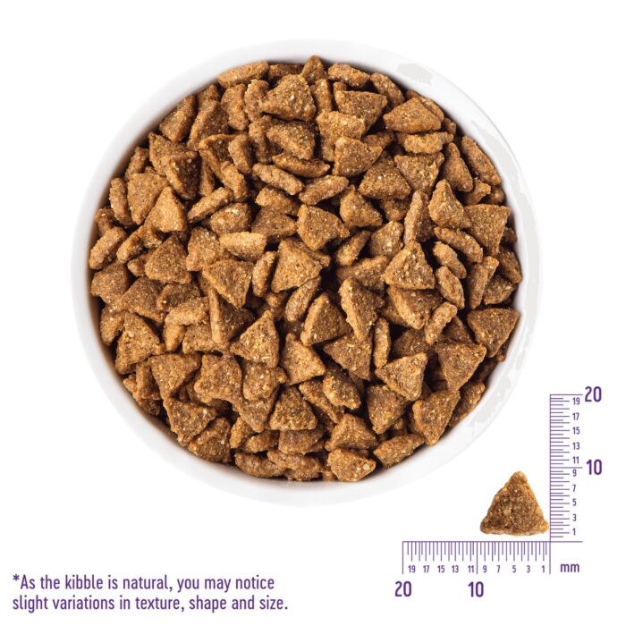 Wellness CORE Grain Free Dog Food - Small Breed