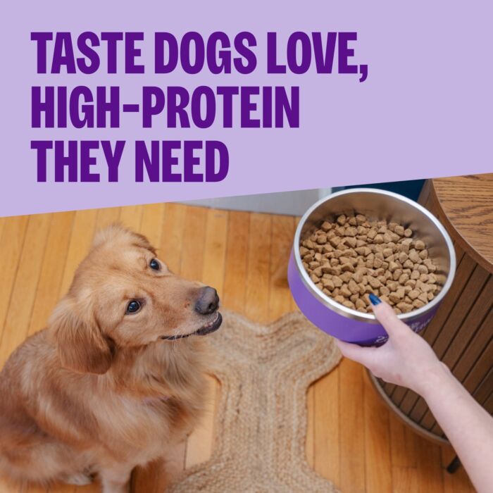 Wellness CORE Grain Free Dog Food - Small Breed