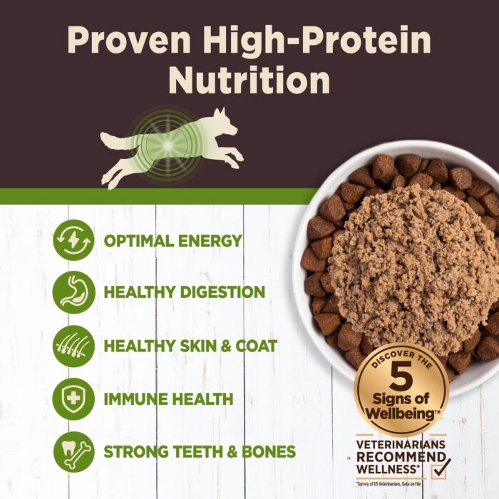 Wellness Dog Can - CORE+ Digestive Health - Lamb Pate 13oz