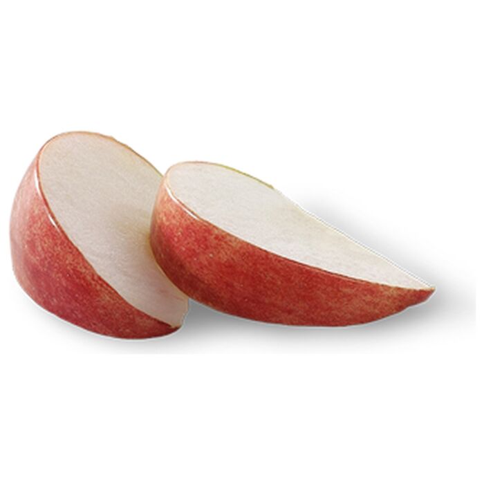 Wellness Puppy Can - Complete Health - Chicken & Salmon & Wholesome Grain 12.5oz
