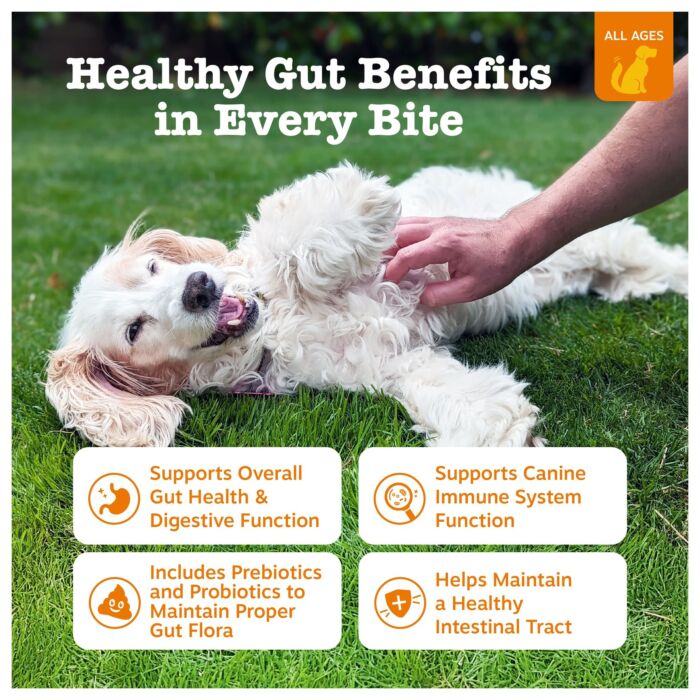 Zesty Paws Dog Supplement - Probiotic Bites Gut Health - Chicken Flavor 315g (90 chews)