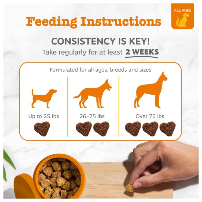 Zesty Paws Dog Supplement - Probiotic Bites Gut Health - Chicken Flavor 315g (90 chews)