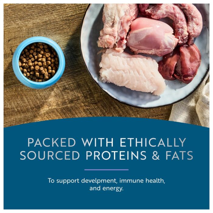 Ziwipeak Cat Food - Steam & Dried - Grain Free Chicken with Southern Blue Whiting Kitten 700g