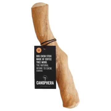 Canophera Dog Treat - Coffee Tree Wood Chew Stick - Medium
