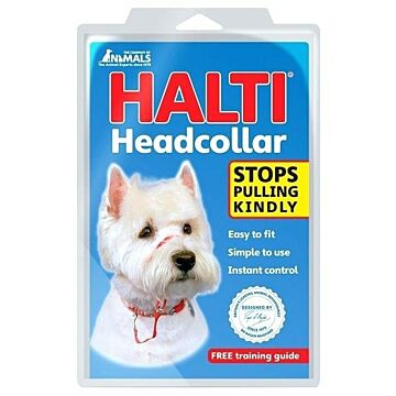 Company Of Animals Halti Headcollar - Black - Size 1