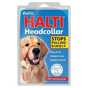Company Of Animals Halti Headcollar - Black - Size 3