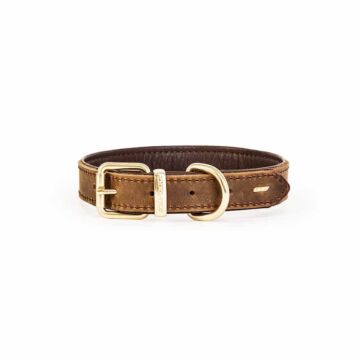 EZYDOG - Oxford Leather Dog Collar - Tan