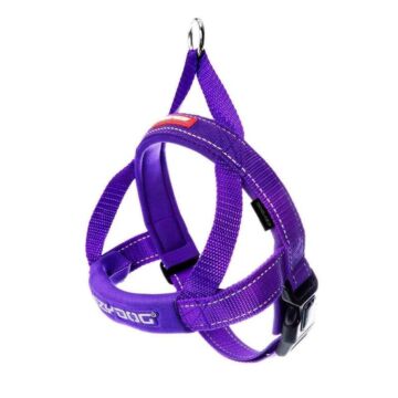 EZYDOG - Quick Fit Dog Harness - Purple