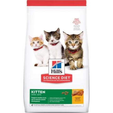 Hills Kitten Dry Food - Science Diet Kitten