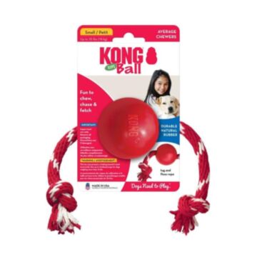 Kong Dog Toy - Ball with Rope - Small