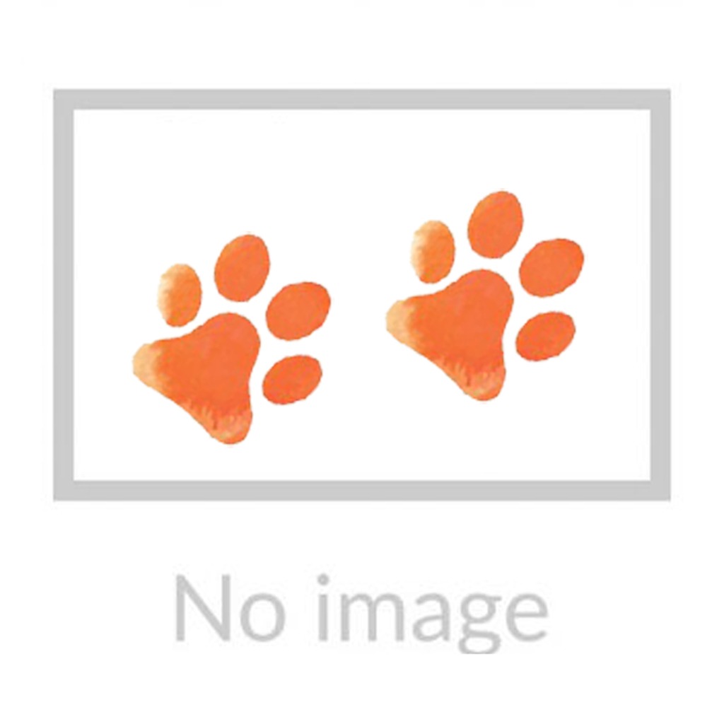 OPPO Dog Muzzle Quack Closed - (Orange)