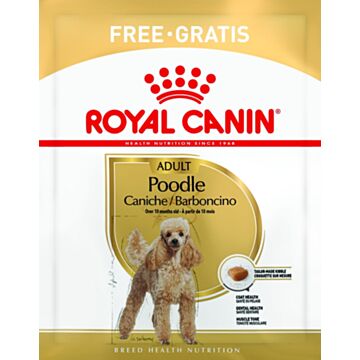 Royal Canin Dog Food - Poodle Adult 50g (Trial Pack)