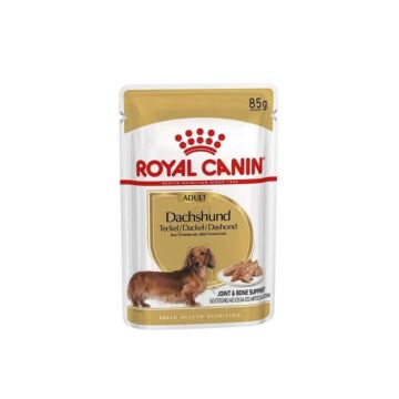 Royal Canin Dog Pouch - Dachshund Adult (Loaf)