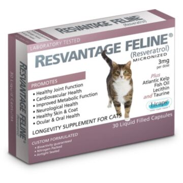 Resvantage Feline Formula for Senior or Cats with Cancer (30 Capsules)