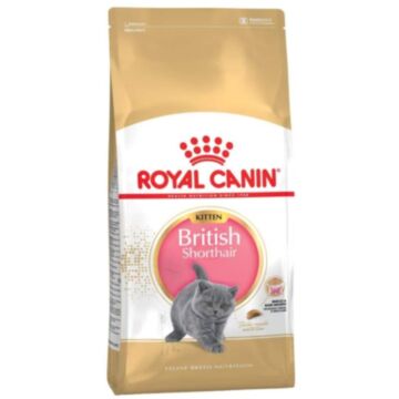Royal Canin Cat Food - British Shorthair Kitten 10kg