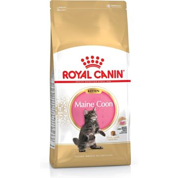 Royal Canin Cat Food - Maine Coon Kitten 10kg