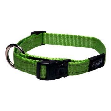 ROGZ Classic Dog Collar - Lime Green (XXL)