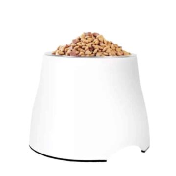 Super Design Pet Feeder - Elevated Bowl - White (S)