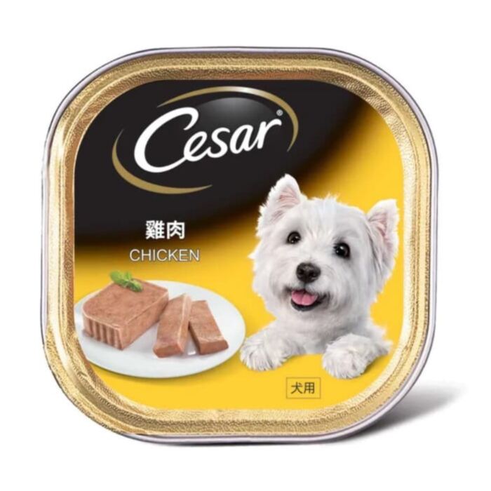 Cesar Dog Wet Food - Chicken 100g
