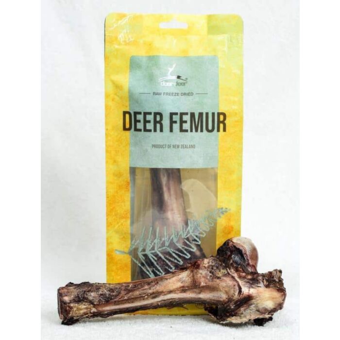 dear deer - Deer Femur (1 piece / 21cm)