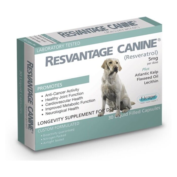 Resvantage Canine Formula for Senior or Dogs with Cancer (30 Capsules)