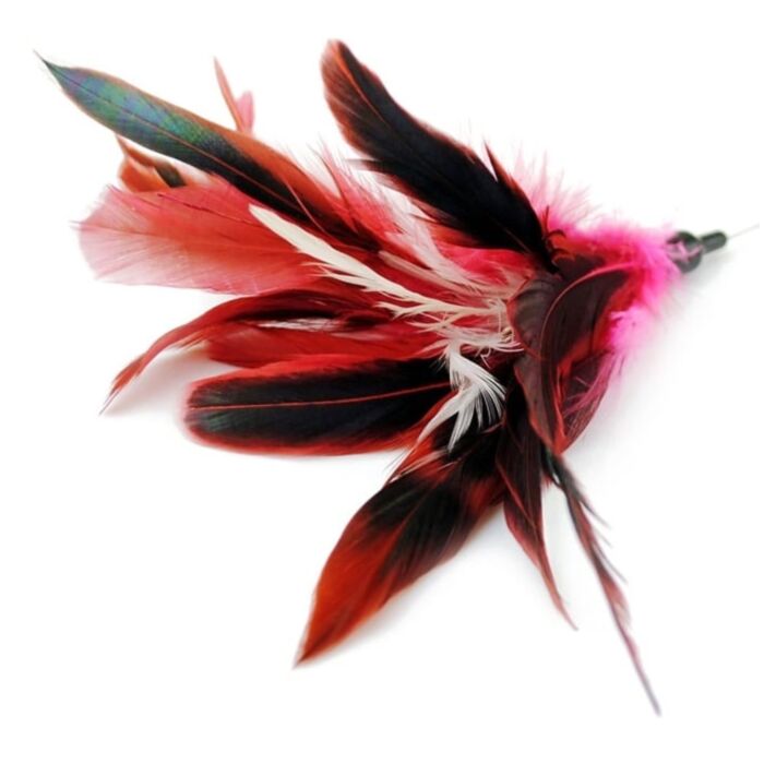 TinTinCat Interactive Feather Wand (Red & White)