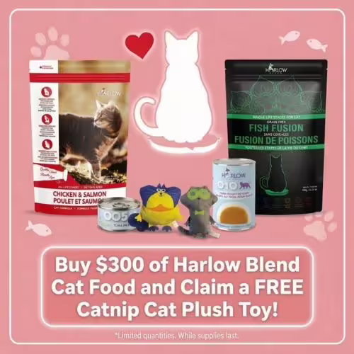 Harlow Blend