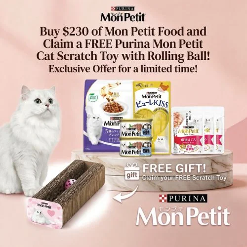 Mon Petit Cat Scratcher
