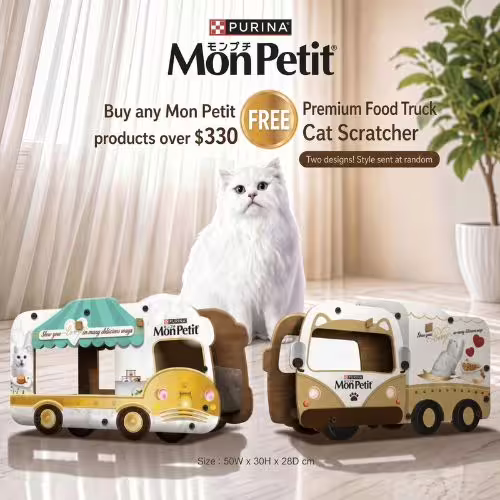 Free Mon Petit Cardboard House