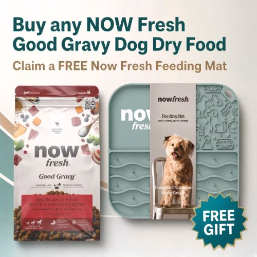 Free Loveabowl Dog Food