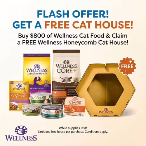 Wellness Cat House