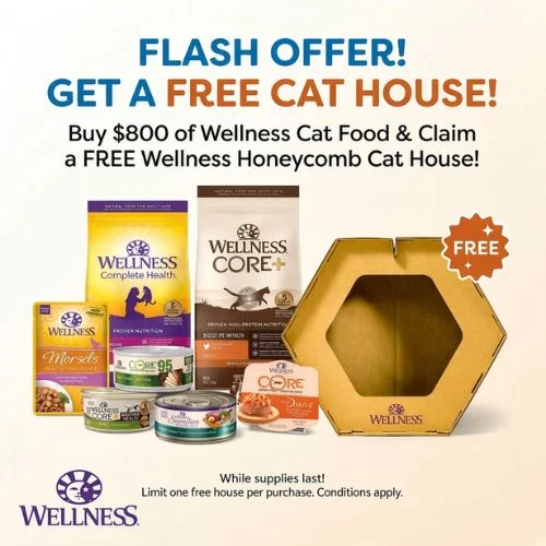 Wellness Cat House