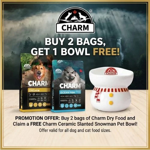 Charm cat & dog Bowl