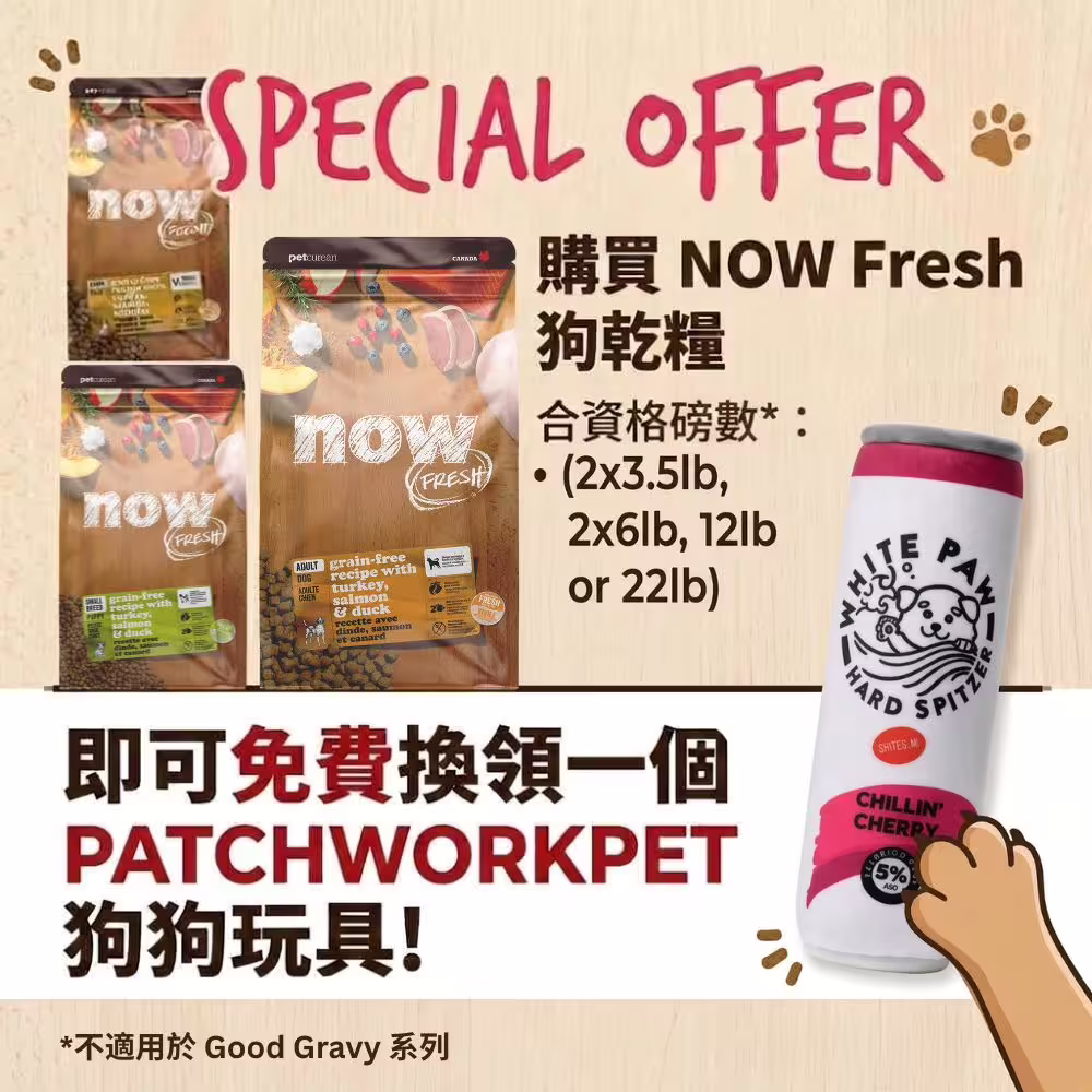 Free NOW Dog Plush Toy