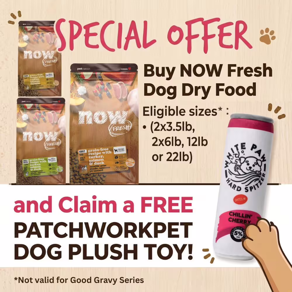 NOW dog toy