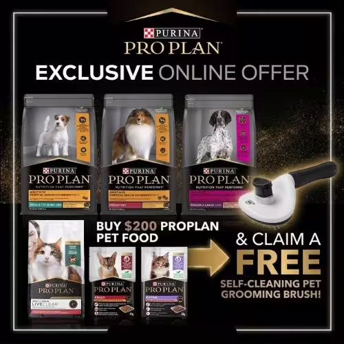 Pro Plan
