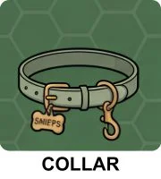 Collar & Leash