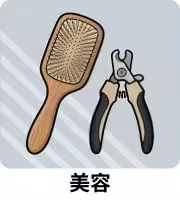 狗狗美容